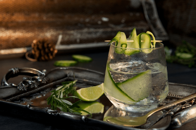 De 6 bedste drinks med gin
